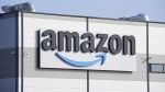 FILE - An Amazon company logo marks the facade of a building in Schoenefeld near Berlin, March 18, 2022. The Federal Trade Commission and 17 state attorney generals filed an antitrust lawsuit against Amazon on Tuesday, Sept. 26, 2023, alleging the e-commerce behemoth uses its position in the marketplace to inflate prices on other platforms, overcharge sellers and stifle competition. (AP Photo/Michael Sohn, File)