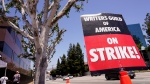 A tree is seen outside Universal Studios on Wednesday, July 19, 2023, in Burbank, Calif. The actors strike comes more than two months after screenwriters began striking in their bid to get better pay and working conditions. (AP Photo/Chris Pizzello) 