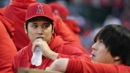 Los Angeles Angels' Shohei Ohtani talks with his translator Ippei Mizuhara, right, in the dugout during the first inning of a baseball game against the Oakland Athletics in Anaheim, Calif., Saturday, Sept. 30, 2023. (AP Photo/Ashley Landis)