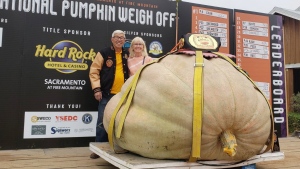 British Columbia couple Dave Chan and Janet Love pose with "Mama," their 2,212-pound pumpkin that won the National Pumpkin Weigh Off in Wheatland, Calif., on Sept. 30, 2023. THE CANADIAN PRESS/HO