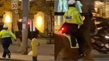 police horse running away