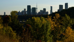 The Toronto skyline is photographed behind a canopy of trees on Wednesday, Oct. 5, 2022. THE CANADIAN PRESS/Alex Lupul 
