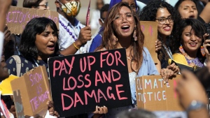 Climate protests
