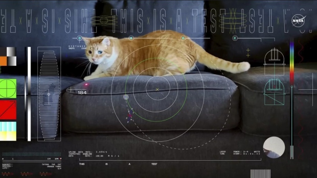 Un gatto di nome Taters è il protagonista del primo video trasmesso tramite laser dallo spazio profondo