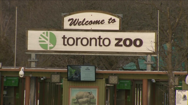 Toronto Zoo organiseert winterbanenbeurs