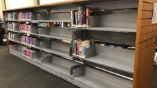 tpl empty bookshelves