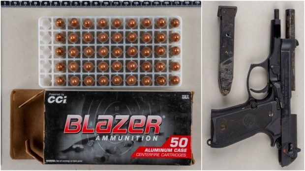 Gun, ammunition seized