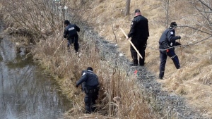 Police are shown searching a Hamilton creek in connection with the investigation into two bus stop shootings in Toronto. (CTV News)