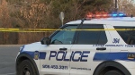 Peel police are on the scene of a stabbing at a park in Brampton on Friday, Feb. 23, 2024.