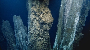 An image of the sea floor at the Endeavour segment of the Juan de Fuca Ridge is shown in a handout photo. Scientists say they recorded 200 earthquakes in an hour on the sea floor 260 kilometres off the coast of Tofino, B.C., suggesting it will erupt. THE CANADIAN PRESS/HO-Ocean Network Canada/Ocean Exploration Trust **MANDATORY CREDIT**
