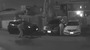 Toronto Suspects slashing tires 
