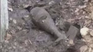 Dog finds decades-old unexploded military weapon i