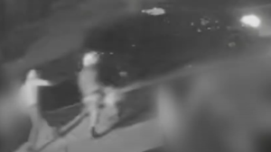 Two suspects are seen outside SUV on a residential street in Vaughan moments after two vehicles were set on fire. (YRP video screengrab)