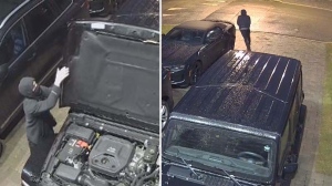 MUST WATCH: Car theft attempt in North York