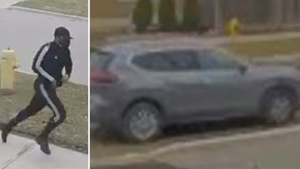 Markham home shot at suspect vehicle March 25