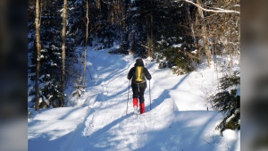 FILE - Donna Lawlor goes cross-country skiing on the Lodge to Lodge trail between camps at the Appalachian Mountain Club's backcountry wilderness lodge near Greenville, Maine, in December 2012. A proposal before the Maine Legislature would ask voters to approve $30 million in public money for the design, development and maintenance of both motorized and non-motorized trails. (AP Photo/Lynn Dombek, File)