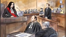 Veltman lawyers courtroom sketch