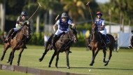 Britain's Prince Harry, center, races for a ball as he plays in the 2024 Royal Salute Polo Challenge to Benefit Sentebale, Friday, April 12, 2024, in Wellington, Fla. Prince Harry, co-founding patron of the Sentebale charity, will play on the Royal Salute Sentebale Team. (AP Photo/Rebecca Blackwell)