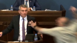 Video shows Georgian lawmakers brawl 