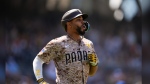 San Diego Padres' Xander Bogaerts watches as he flies out during the sixth inning of a baseball game against the Toronto Blue Jays, Sunday, April 21, 2024, in San Diego. (AP Photo/Gregory Bull)