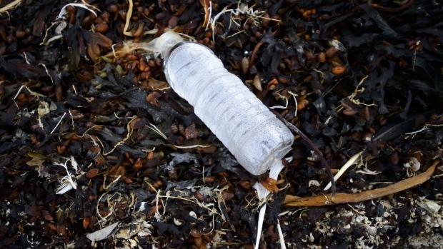 New Canadian data suggest that over a nine-year period between 2012 and 2020, the equivalent of more 15 billion plastic bottles and as many as 14 billion plastic grocery bags became litter in Canada's environment. A single-use plastic water bottle sits amongst a pile of seaweed on the shore of Frobisher Bay in Iqaluit on Friday, Aug. 2, 2019. THE CANADIAN PRESS/Sean Kilpatrick