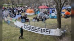 Pro-Palestinian student activists in Montreal have set up camp on the grounds of McGill University, following a wave of similar protests on campuses across the United States. Pro-Palestinian demonstrators at an encampment at McGill University in Montreal, Saturday, April 27, 2024. THE CANADIAN PRESS/Graham Hughes