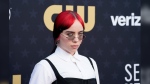 FILE - Billie Eilish arrives at the 29th Critics Choice Awards on Sunday, Jan. 14, 2024, at the Barker Hangar in Santa Monica, Calif. Eilish will embark on a worldwide arena tour this fall. It kicks off in Quebec City in Canada on Sept. 29 and concluding in Dublin on July 27, 2025.(Photo by Jordan Strauss/Invision/AP, File)