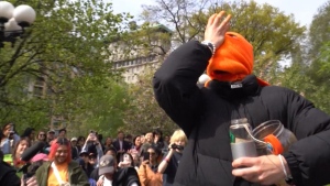 Man downs 700 cheese balls in NYC park