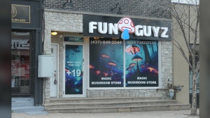 Two people have been charged following a series of raids at a Richmond Hill magic mushroom store. (YRP photo)