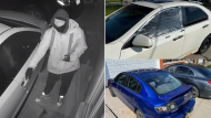 Police are searching for a suspect (left) who allegedly damaged several vehicles parked in two neighbourhoods in Malton this week. (Peel Police)