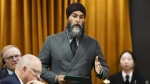 NDP leader Jagmeet Singh rises during during question period in the House of Commons on Parliament Hill in Ottawa on Monday, April 29, 2024. Singh is warning Conservatives to back down from attempts to block pharmacare legislation, as the House of Commons prepares to vote on the bill for the first time. THE CANADIAN PRESS/Sean Kilpatrick