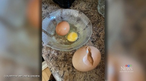 Egg inside egg discovered by farmer