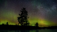 The aurora borealis, or northern lights, make a rare appearance over central Ontario north of Hwy 36 in Kawartha Lakes, Ont., on Sunday, March 21, 2021. THE CANADIAN PRESS/Fred Thornhill 