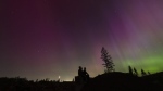 In this image taken with a long exposure, people look at the night sky towards the northern lights, or Aurora Borealis, on Friday, May 10, 2024, in Estacada, Ore. The National Oceanic and Atmospheric Administration issued a rare severe geomagnetic storm warning when a solar outburst reached Earth on Friday afternoon, hours sooner than anticipated. The effects were due to last through the weekend and possibly into next week. (AP Photo/Jenny Kane)