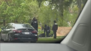 Alleged trespasser arrested at Drake's mansion