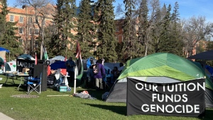 Edmonton police say they cleared a pro-Palestinian encampment at the University of Alberta early Saturday morning. Tents are set up at a Gaza encampment protest on the campus of the University of Alberta in Edmonton on Friday, May 10, 2024. THE CANADIAN PRESS/Dean Bennett