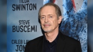 FILE - Actor Steve Buscemi attends the premiere of "The Dead Don't Die" at the Museum of Modern Art, June 10, 2019, in New York. Buscemi was punched in the face by a random attacker on a New York City street, Wednesday, May 8, 2024, according to police and his publicist. (Photo by Evan Agostini/Invision/AP, File)