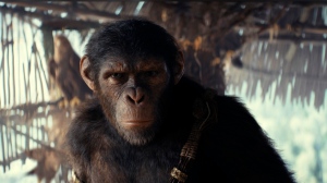 scene from "Kingdom of the Planet of the Apes"