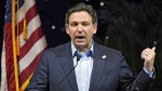 Florida Gov. Ron DeSantis is planning to raise money for former U.S. president Donald Trump in his home state as well as Texas. (Chris O'Meara/AP Photo)