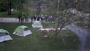 This photo provided by Sarah Hubbard shows pro-Palestinian protesters in Okemos, Mich., demonstrating outside the home of Sarah Hubbard, the chair of the University of Michigan's governing board, on Wednesday, May 15, 2024. (Sarah Hubbard via AP)