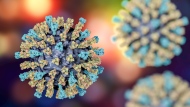 The measles virus particle is show in this computer rendering. Measles is highly infectious and presents as an itchy rash with a fever that mainly affects children. (Getty images)