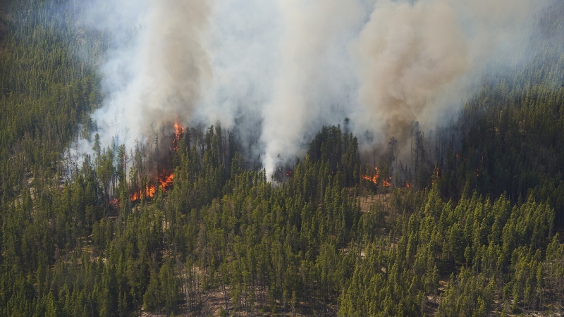 Taking Stock - Protecting homes from wildfires