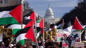 March on Washington for Gaza, January 2024