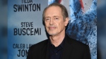 FILE - Actor Steve Buscemi attends the premiere of "The Dead Don't Die" at the Museum of Modern Art, June 10, 2019, in New York. A person wanted in connection with the random assault on actor Steve Buscemi on a New York City street earlier this month was taken into custody Friday, May 17, 2024 police said. (Photo by Evan Agostini/Invision/AP, File)