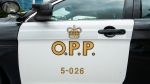 An Ontario Provincial Police cruiser is shown in Vaughan, Ont., on June 20, 2019. (THE CANADIAN PRESS/Andrew Lahodynskyj)