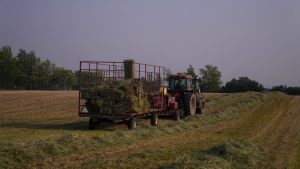 Ontario's privacy commissioner says it will publish a special Greenbelt report on its findings of the use of non-government emails and deleted messages. A farmer gathers bales of hay on a family farm in Hamilton, Ont., Wednesday, June 7, 2023. THE CANADIAN PRESS/Chris Young
