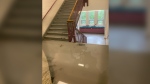 Water pools on a stairwell at Humberside Collegiate Institute on May 27 following a heavy rainfall. (MPP Bhutila Karpoche photo)