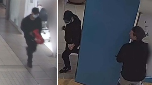 MUST WATCH: Video of Toronto mall robbery