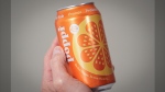 FILE - A can of Poppi prebiotic soda is shown on April 10, 2024, in New York. Soda brand Poppi is being sued by a consumer who says the brand isn't improving gut health as much as it claims. (AP Photo/John Minchillo, File)