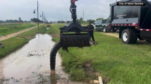 Alligator removed from Texas ditch